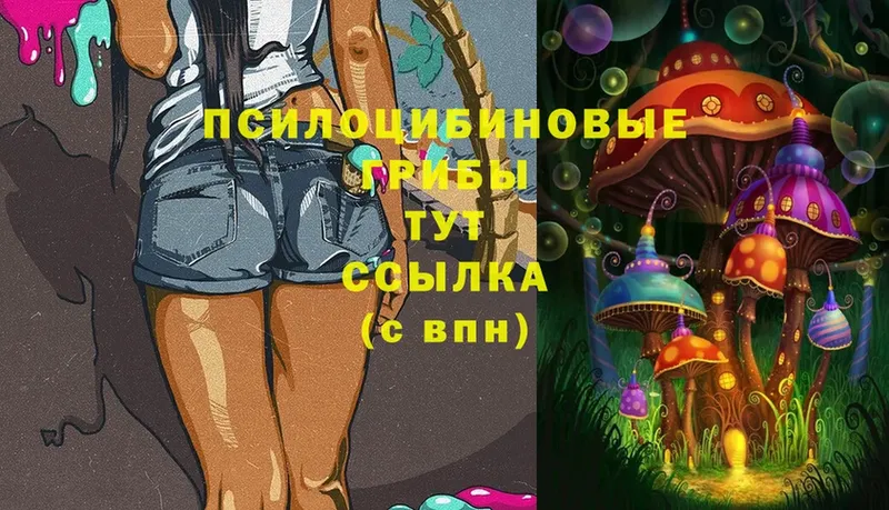 Псилоцибиновые грибы Magic Shrooms  Буинск 